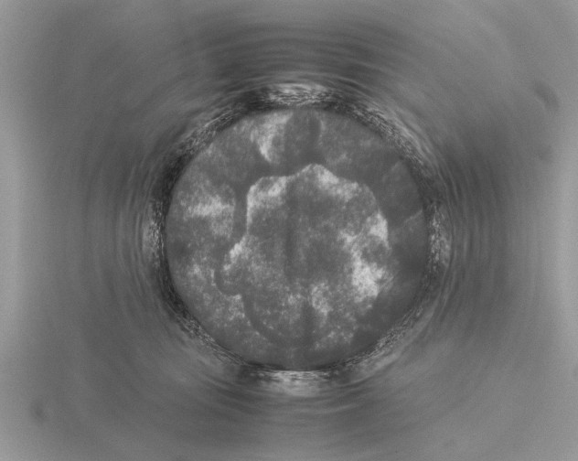 X0000115740371200912101320