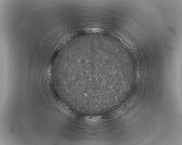 X0000115740373200912101320