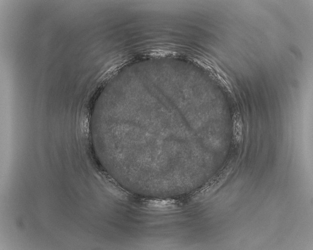 X0000115740375200912101320