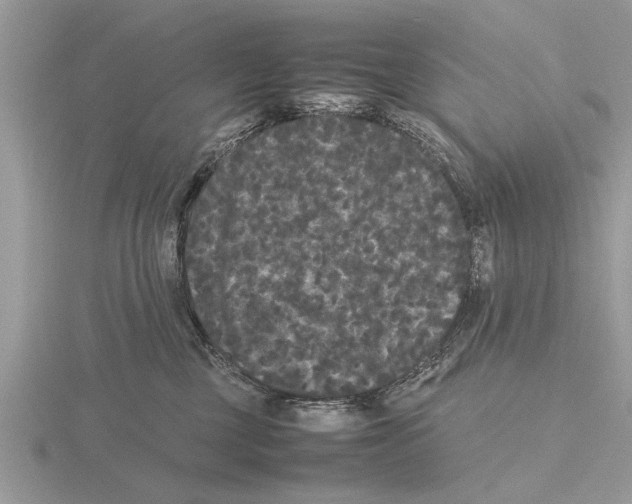 X0000115740377200912101320