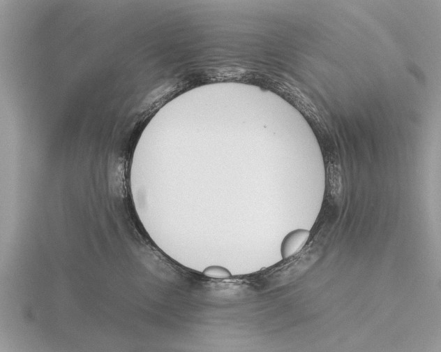 X0000115740378200912101320