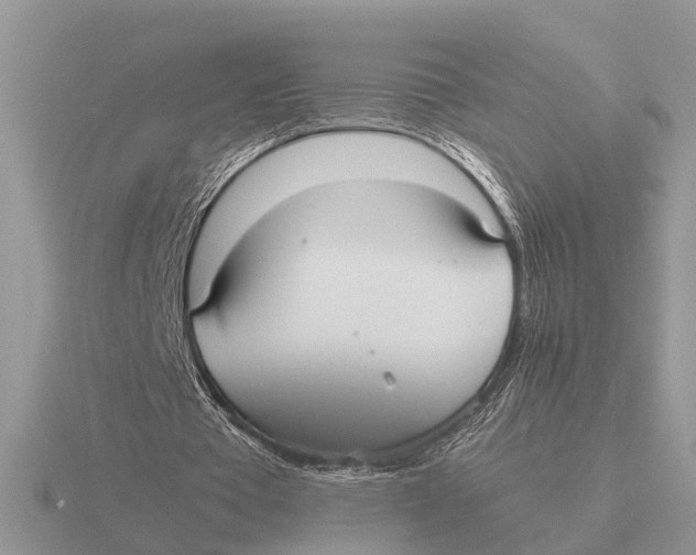 X0000115740385200912101319