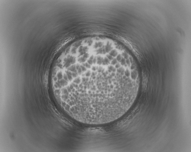 X0000115740386200912101319