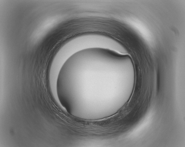 X0000115740387200912101319