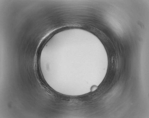 X0000115740388200912101319