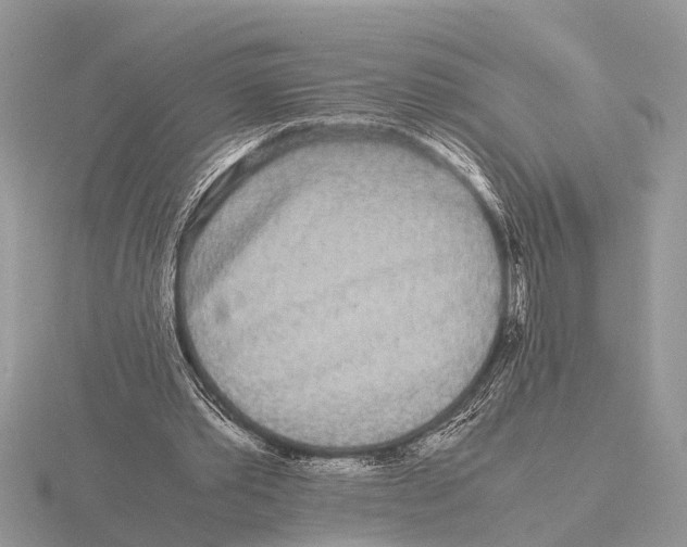 X0000115740389200912101319