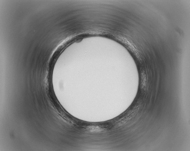 X0000115740392200912101319