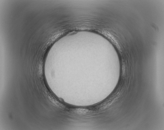 X0000115740393200912101319