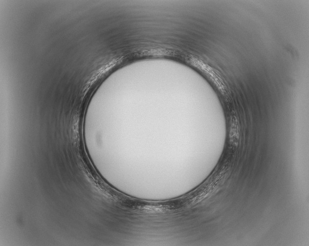 X0000115740394200912101319