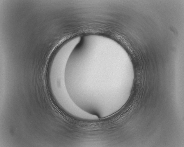 X0000115740395200912101319