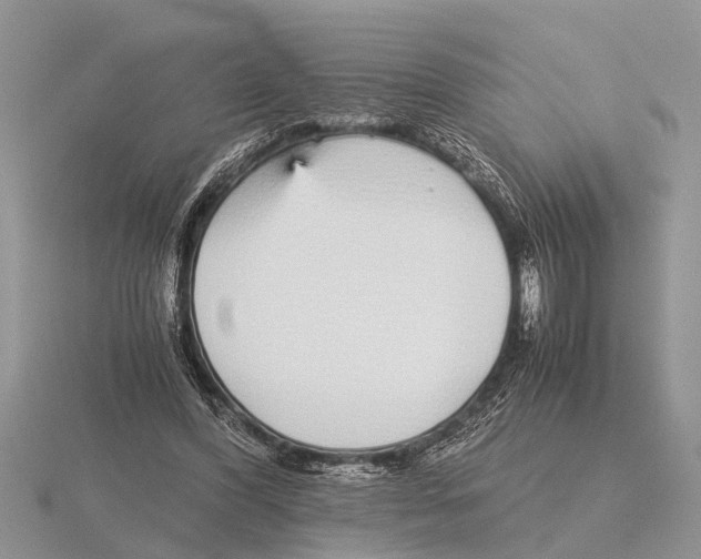 X0000115740396200912101319