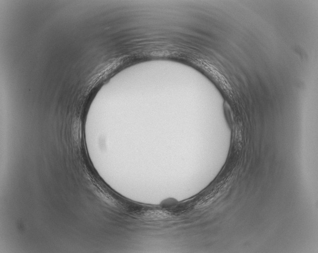 X0000115740397200912101319