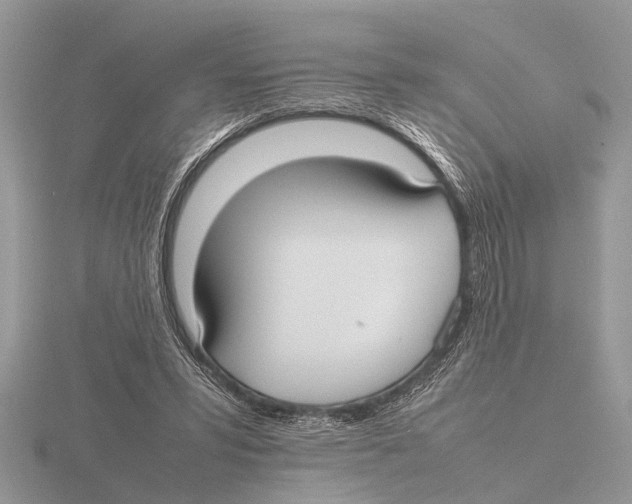 X0000115740399200912101319