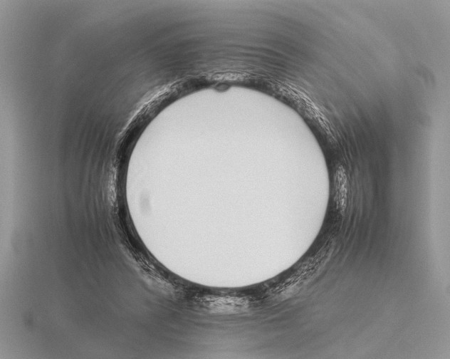 X0000115740400200912101319