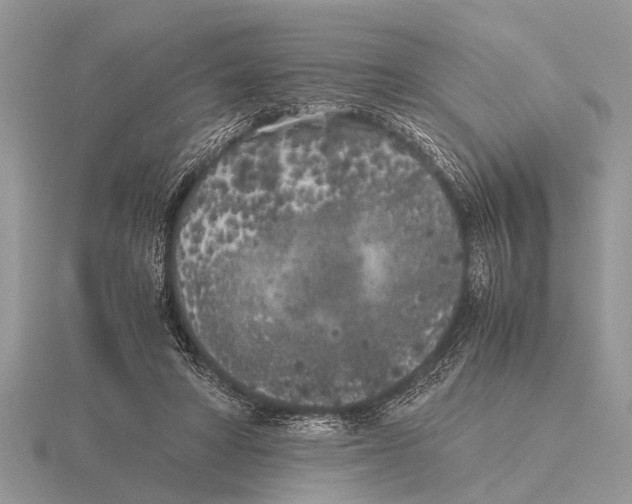 X0000115740402200912101319