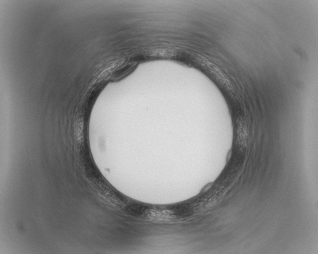 X0000115740403200912101319