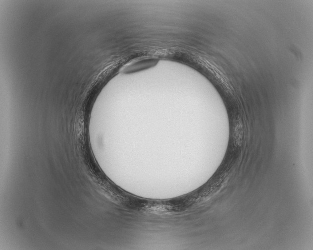 X0000115740407200912101319