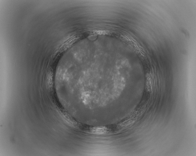 X0000115740410200912101319