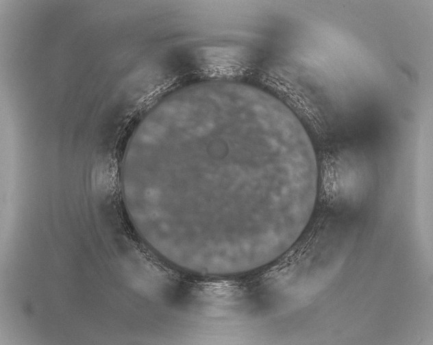 X0000115740411200912101319