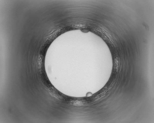 X0000115740412200912101319