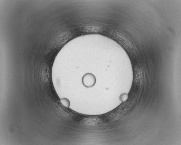 X0000115740414200912101319