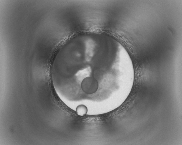 X0000115740415200912101319