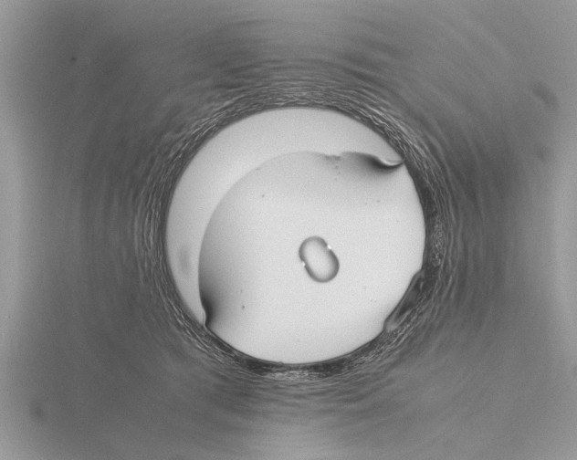 X0000115740417200912101319