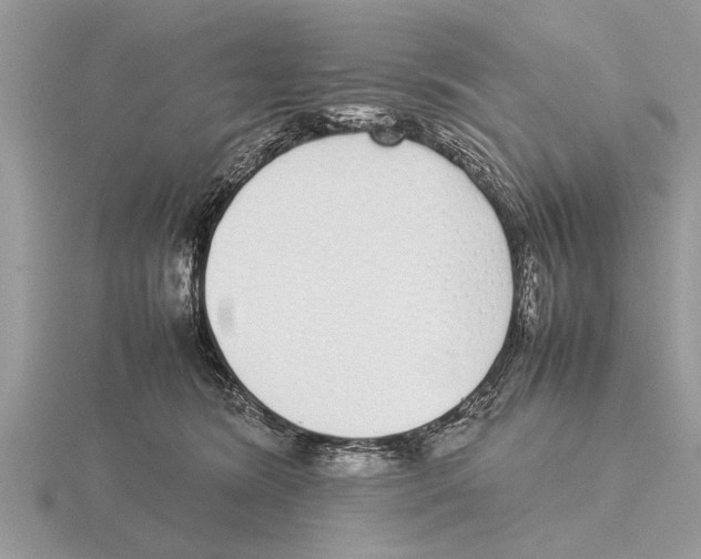 X0000115740420200912101319