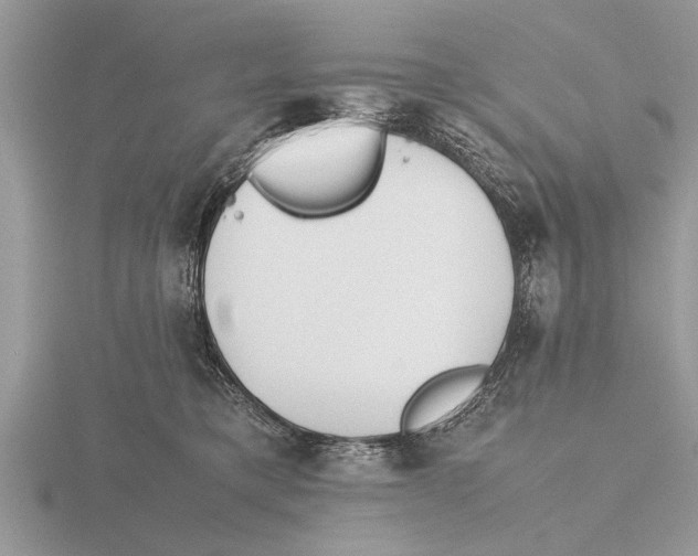 X0000115740421200912101319