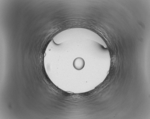 X0000115740423200912101319