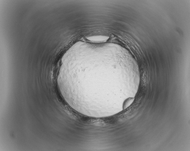 X0000115740424200912101319