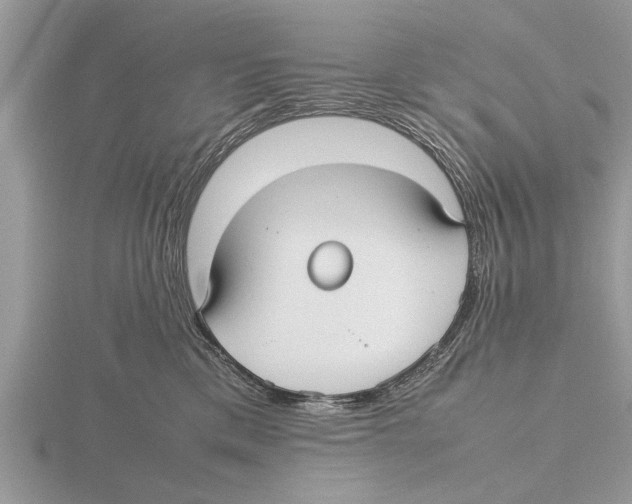 X0000115740425200912101319