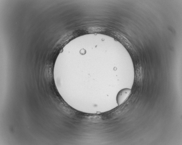 X0000115740426200912101319