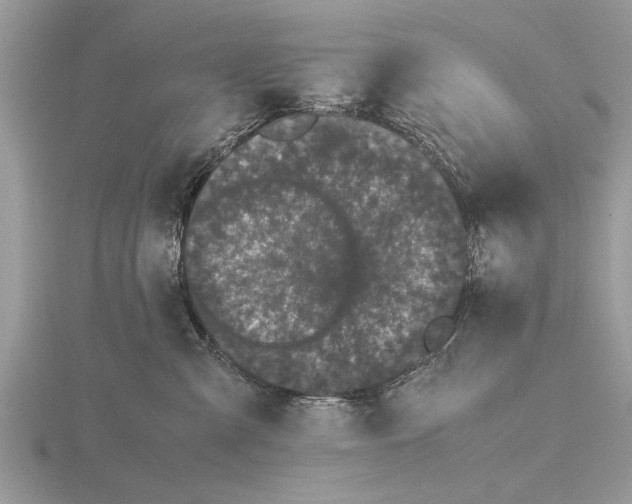 X0000115740427200912101319