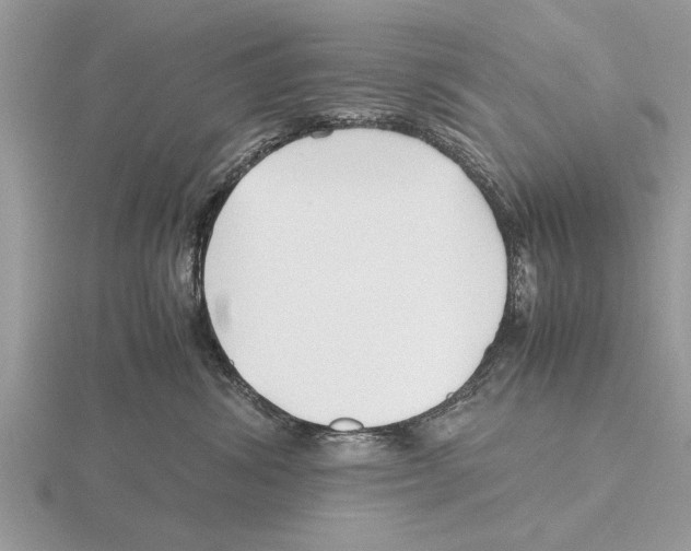 X0000115740428200912101319