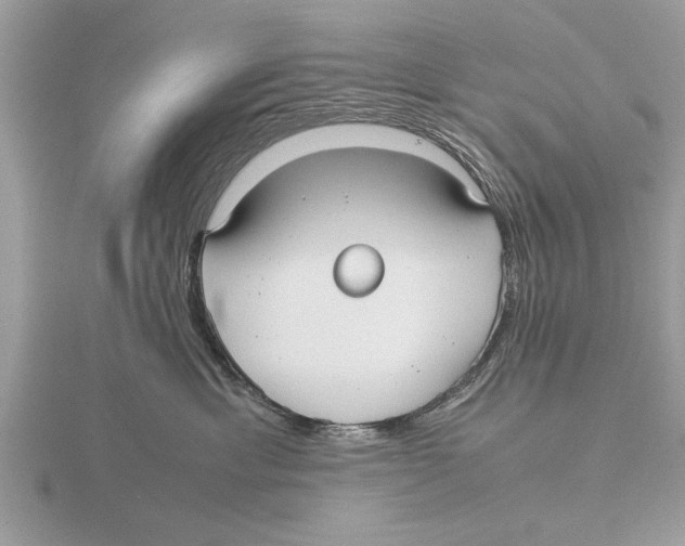 X0000115740429200912101319