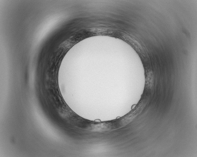 X0000115740430200912101319