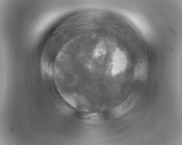 X0000115740431200912101319