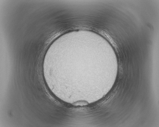 X0000115740433200912101318