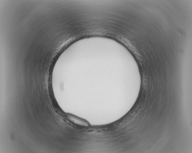 X0000115740434200912101318