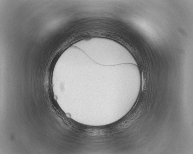 X0000115740435200912101318