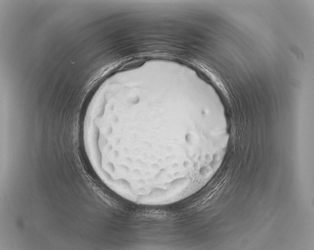 X0000115740437200912101318