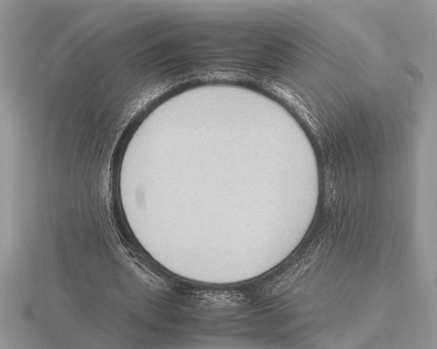 X0000115740439200912101318