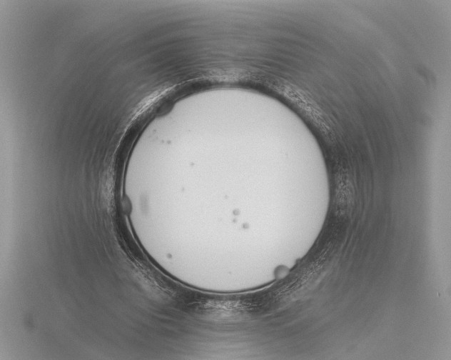 X0000115740440200912101318