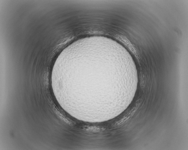 X0000115740441200912101318