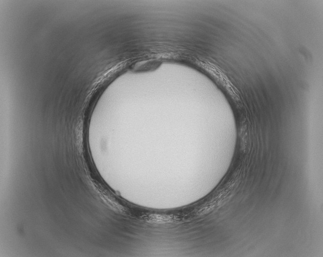 X0000115740442200912101318