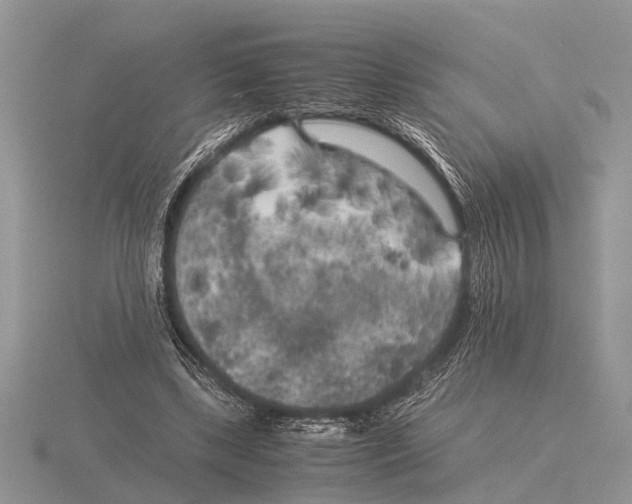 X0000115740443200912101318