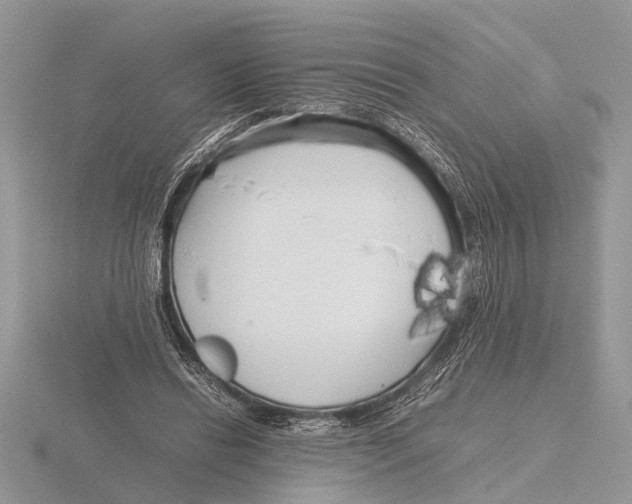 X0000115740446200912101318