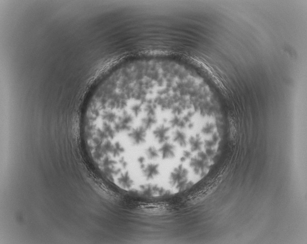 X0000115740447200912101318