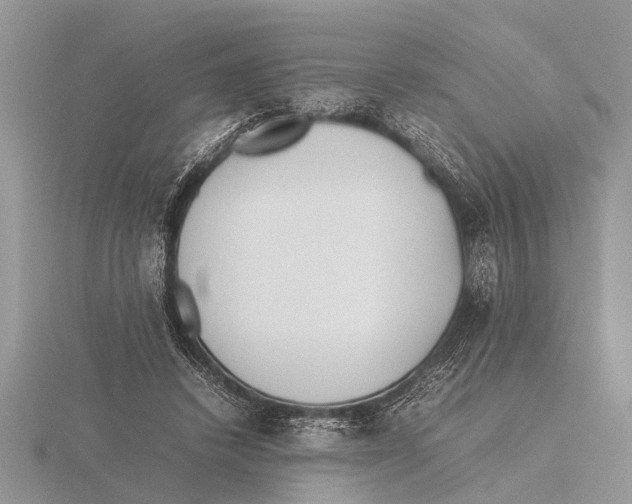 X0000115740448200912101318